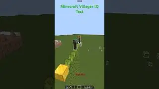 Minecraft Villager IQ Test 🤣 