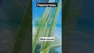 Перепутаны. Моя песня.
