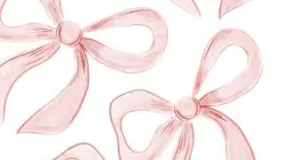 A tour of my bows 🎀🧸