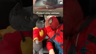 Small Move💓, Big Save For Furry Animals🚗🐾 