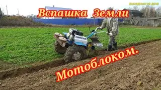 Вспашка земли мотоблоком Нева МБ-2 с оборотным плугом.