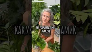 ЛАЙФХАК ДЛЯ ЗАМИКОВ/ больше пользы в моем тг t.me/spottykit