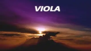 VIOLA! WHAT DO YOU MEAN?