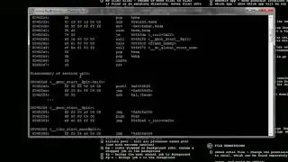Converting a C program to Assembly