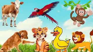Lives of animals: dog, cat, tiger, lion, elephant, duck, monkey, cow - animal sounds