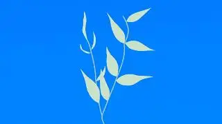 Plant growing animation |blue screen video |green screen video