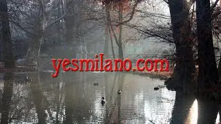 The Mermaid Bridge (Yesmilano.com Videos 3)
