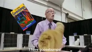 I Have Goosebumps (Cat Judge)