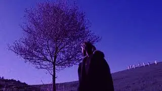 (FREE) 