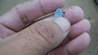Искал золото,а нашел совсем не то что ожидал,поиск на пляже!