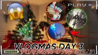decoration shopping , setting up christmas tree + more 🎄|| VLOGMAS DAY 3 !