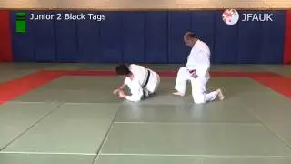 JFAUK Grading Syllabus: Junior 2 Black Tags