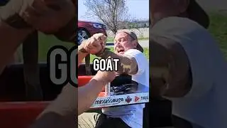 DEVON LARRATT IS THE GOAT🐐 #devonlarratt #armwrestling #training
