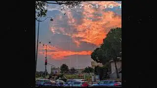 Nomcas - loss