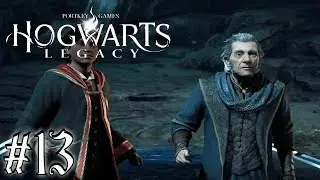 "THE END!" (Hogwarts Legacy FINALE)