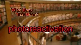 What does photoreactivation mean?