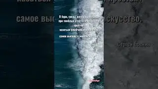 Высшее искусство.