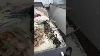 ЕГИПЕТ 🇪🇬 Забежала на рыбный рынок
