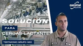 GESTAL Quattro: Sistema de alimentación computarizado para cerdas lactantesI