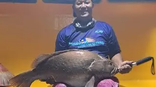 SHIMANO BEAST MASTER MD 3000 IN ACTION