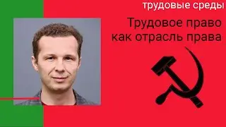Трудовое право как отрасль российской системы права. Видео-лекция
