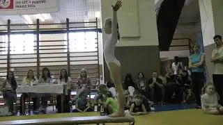 Gymnastické závody