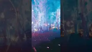 😍פסטיבל אביב של צבעים בפרק הלאומי של רמת גן 😍😍