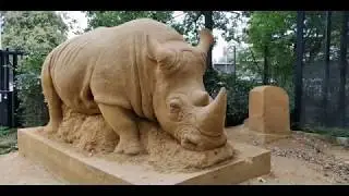 Zoologijos sodas. Kopenhaga. (Copenhagen Zoo)