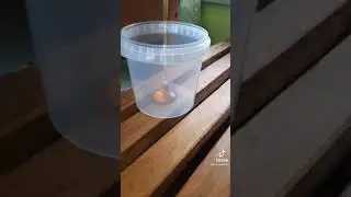 Мудро