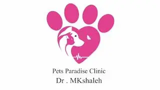 male cat's bladder surgery (feline cystotomy)