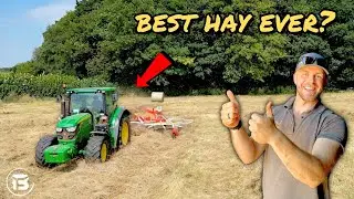 Our First EVER Hay Crop Was MASSIVE! This Will Keep The Cows Well Fed!