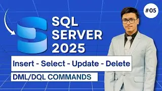 DML & DQL Commands (INSERT, SELECT, UPDATE, DELETE) | SQL Server 2025 | Urdu/Hindi