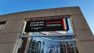 Disappointing Day in the Life | Skydiving, Childish Gambino Concert