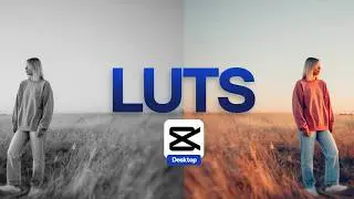 How to Add LUTS In CapCut