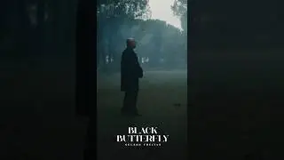 BLACK BUTTERFLY TOMORROW ON ALL PLATORMS