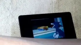 Tom and Jerry Fandubs (Downhearted Duckling)