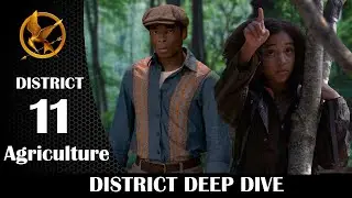 District Deep Dive: District 11