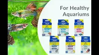 API Test Kits | Test your aquarium water quality