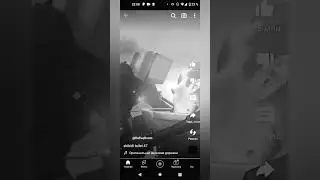 они подружились?