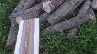 что за древесина