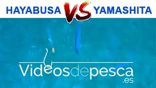 VIDEOS DE PESCA: Pesca jigging con plumas 2018 - Hayabusa VS Yamashita