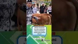 Cara menjinakkan hewan qurban dengan mudah