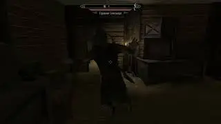 а вы видели такой баг в Skyrim ?
