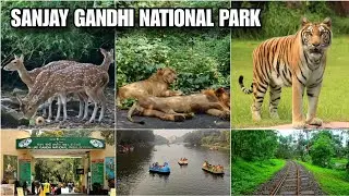 Mumbai National Park | Sanjay Gandhi National Park | Kanheri Caves | #sgnp #borivali #mumbai