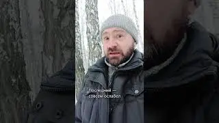 Дети бегут к карусели...