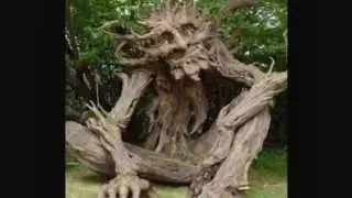 Top 10 Most AMAZING Trees Around The World