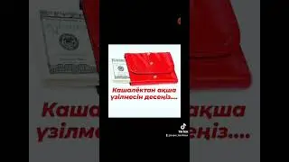 Кошелектан акша узилмесин десениз