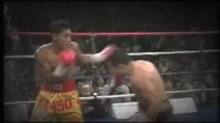 Windy City Fight Night 6 Boxing DIAZ VS CHAVEZ 9/26/09