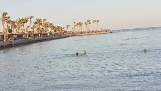 Отдых у моря. Отель Arabia Azur Resort 4. Египет. Хургада