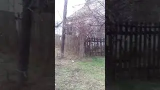 Зима пятница 12 Января